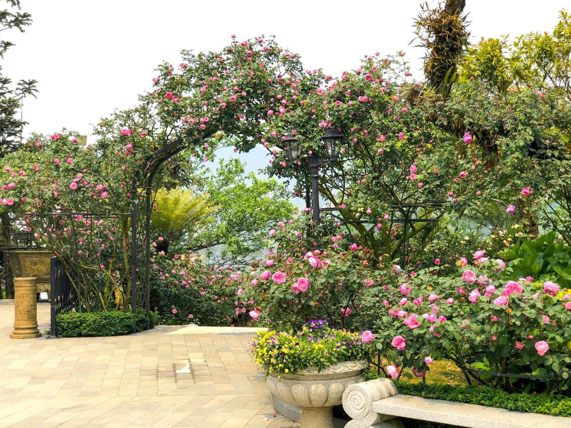 Silk Path Grand Sapa Resort & Spa Εξωτερικό φωτογραφία Rose Garden